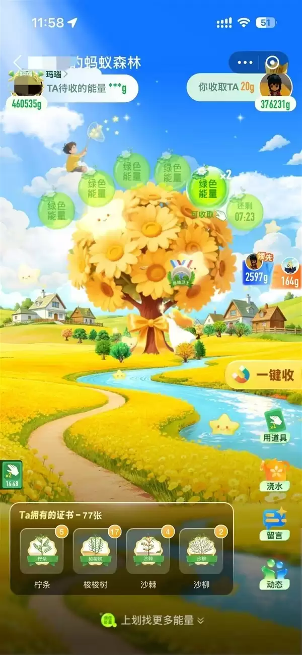 支付宝蚂蚁森林2026年焕新升级：沉浸式好友森林界面上线