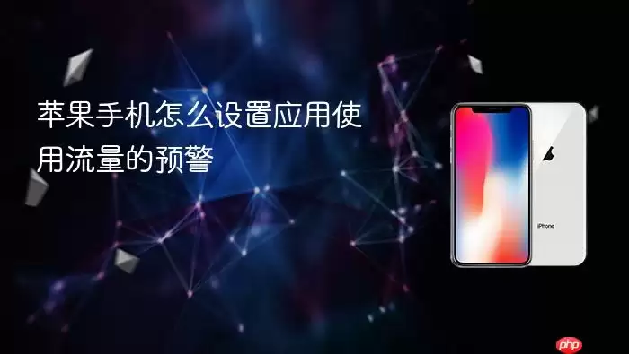 苹果手机如何设置应用使用流量的预警