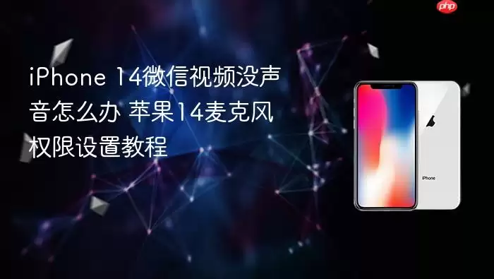 iPhone 14微信视频没声音怎么解决 苹果14麦克风权限设置教程