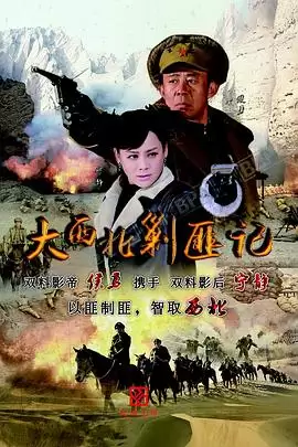 《大西北剿匪记2017》电视剧剧情介绍