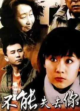 电视剧不能失去你剧情介绍
