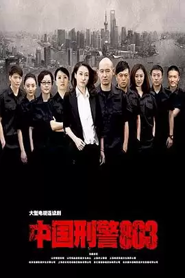 电视剧中国刑警803剧情介绍