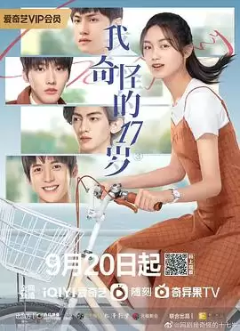 电视剧我奇怪的17岁剧情介绍