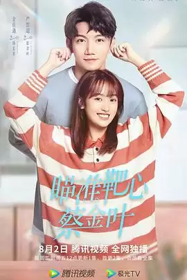 电视剧 瞄准靶心 蔡金叶 剧情介绍