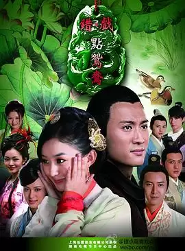 剧情介绍：电视剧《错点鸳鸯戏点鸳鸯》