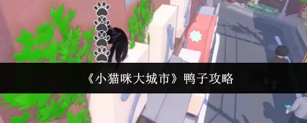 小猫咪大城市:鸭子攻略