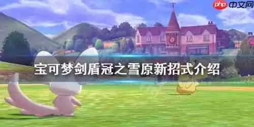 宝可梦冠军宝可梦录用功能指什么