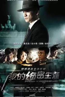 电视剧《我的绝密生涯》剧情介绍