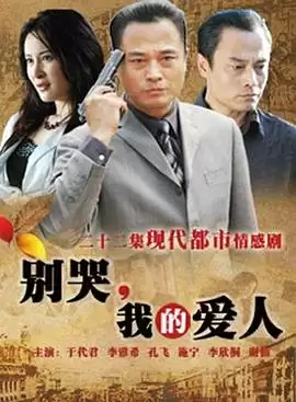 电视剧《别哭，我的爱人》剧情介绍