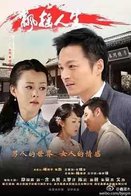 电视剧《飘摇人生》剧情介绍