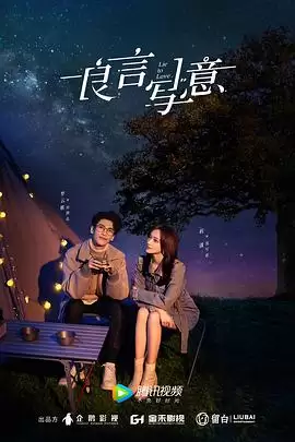 电视剧《良言写意》剧情介绍