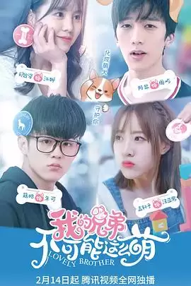 电视剧《我的兄弟不可能这么萌》剧情介绍