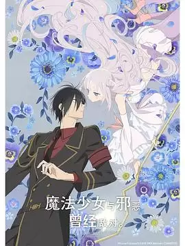 动漫《魔法少女与恶曾是敌人。》剧情简介