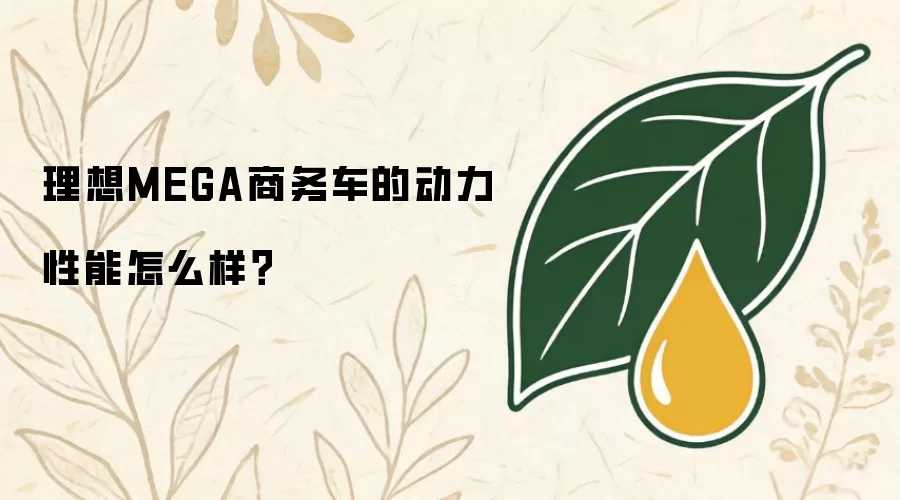 理想MEGA商务车的动力性能怎么样