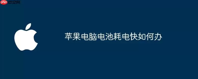 苹果电脑电池耗电快怎么办