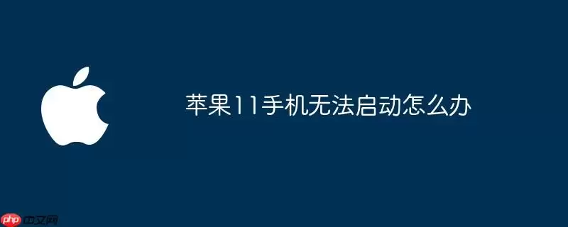 苹果11手机无法启动如何解决