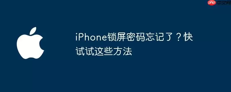 iPhone锁屏密码忘记了？快试试这些办法