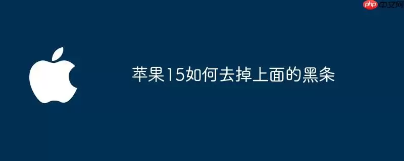 苹果15如何去除上面的黑条