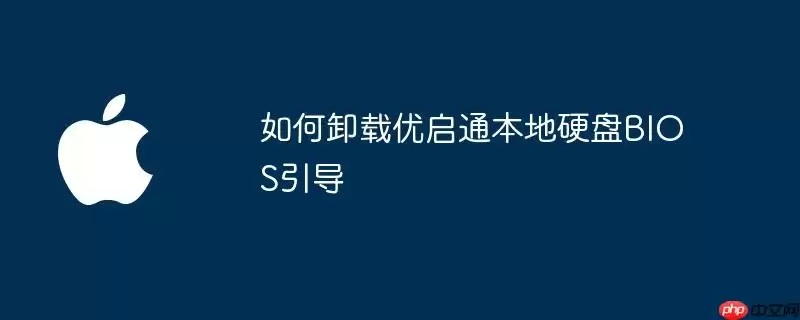 如何卸载优启通本地硬盘上的BIOS引导
