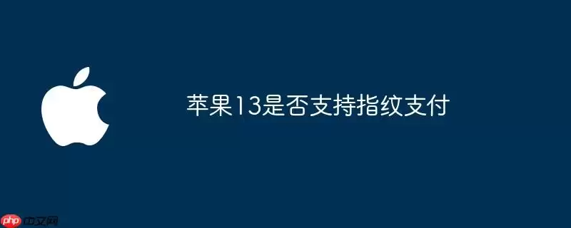苹果13支持指纹支付吗