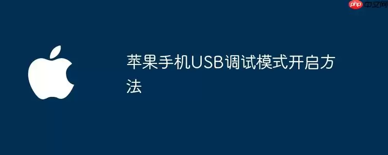 苹果手机USB调试模式开启办法
