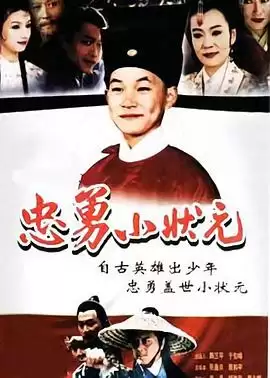 电视剧《忠勇小状元》剧情简介