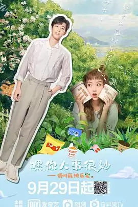 电视剧《嘿！你大事很妙》剧情简介