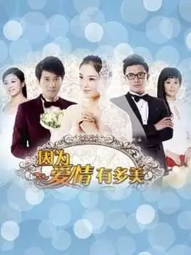 剧情介绍：电视剧《因为爱情有多美》