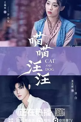 电视剧喵喵汪汪剧情介绍
