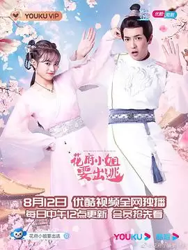 电视剧花府小姐要出逃剧情介绍
