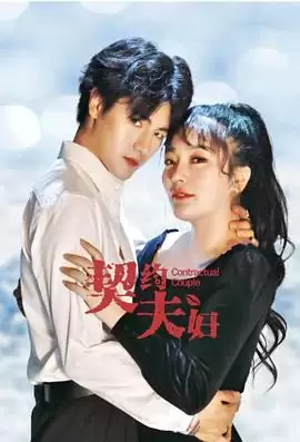 电视剧《契约夫妇》剧情简介