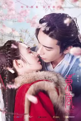 《东宫2019》电视剧剧情介绍