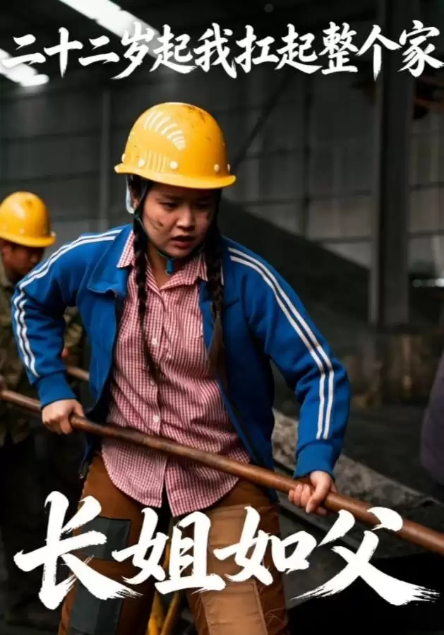 短剧《二十二岁起我扛起整个家：长姐如父》剧情介绍