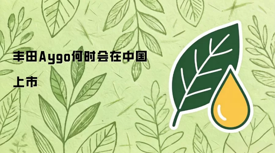 丰田Aygo何时会在中国上市