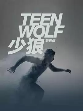 电视剧《少狼第五季》剧情介绍
