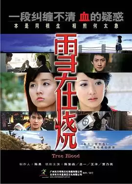 电视剧《雪在烧》剧情介绍