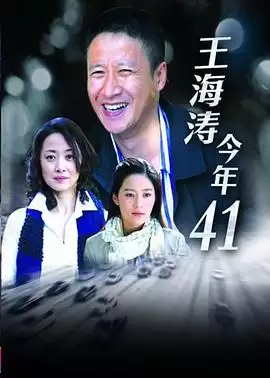 电视剧《王海涛今年四十一》剧情介绍