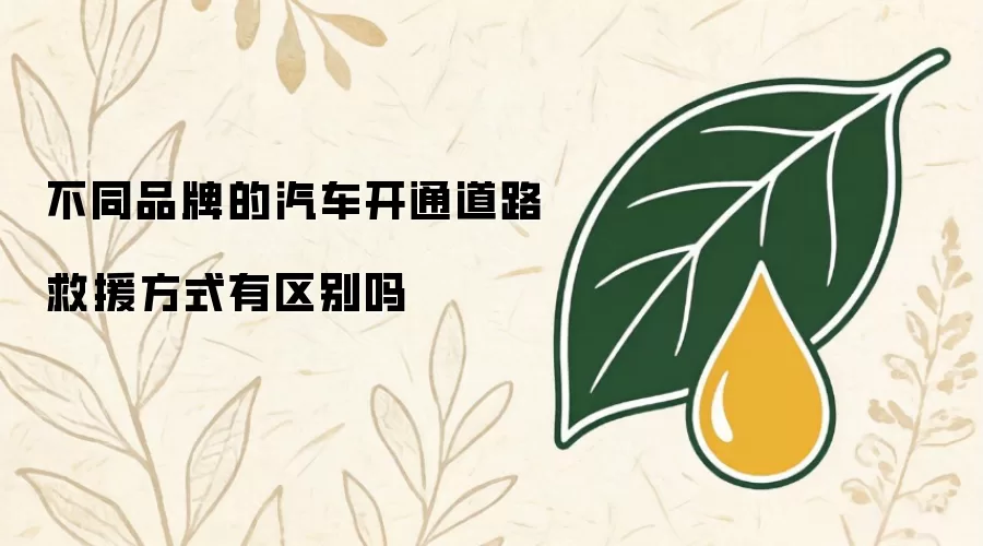 不同汽车品牌的道路救援开通方式有区别吗