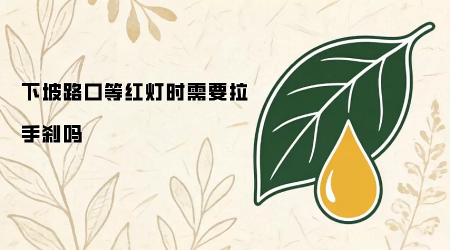 下坡路口等红灯时需不需要拉手刹