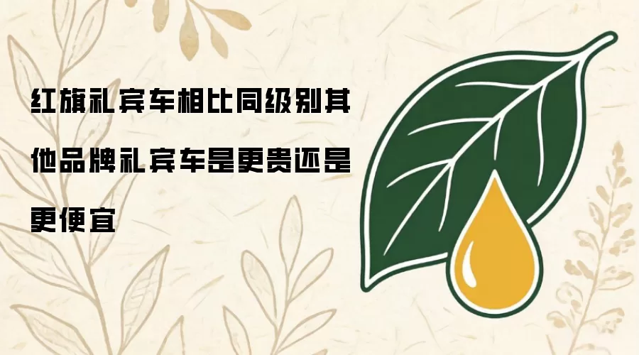 红旗礼宾车与同级别其他品牌礼宾车相比是更贵还是更便宜