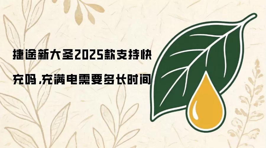 捷途新大圣2025款支持快充吗：充满电需要多长时间