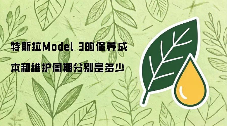 特斯拉Model 3的保养成本与维护周期分别是多少