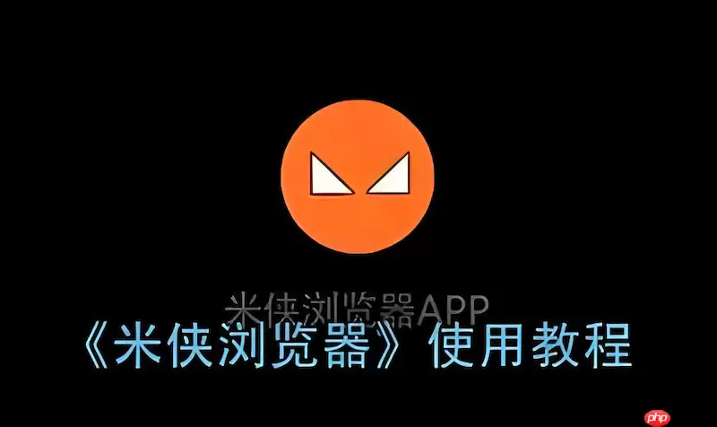 如何在米侠浏览器中启用垂直标签栏以管理大量页面