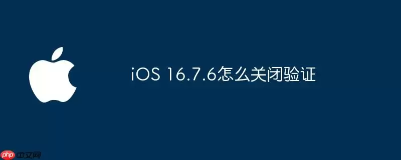 iOS 16.7.6如何关闭验证