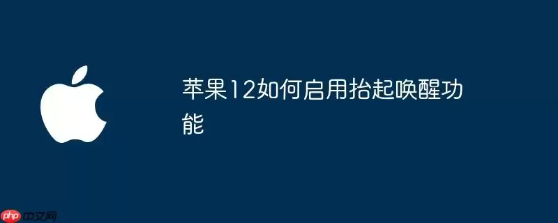 苹果12如何开启抬起唤醒功能
