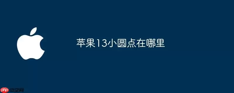 苹果13小圆点位置在哪