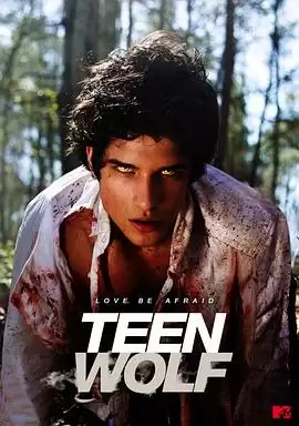电视剧《少狼第1季》剧情介绍