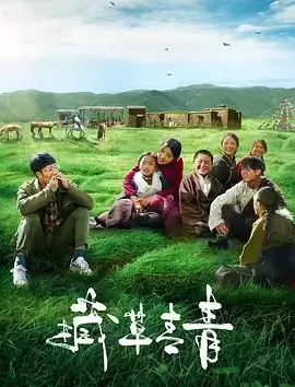 《藏草青青》电影剧情介绍