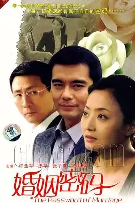 电视剧《婚姻密码》剧情介绍