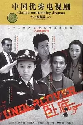 电视剧《卧底》剧情介绍